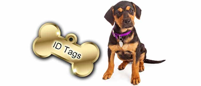 Pet ID Tag Engraving